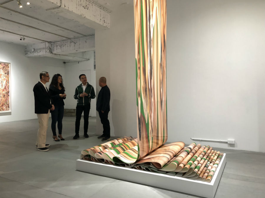 Boys Boys Boys installation by Dinh Q. Lê, 2019