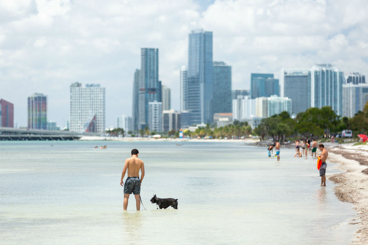 Hobie Island Beach Park, Miami